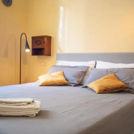 Art & History - New - Modern Classic *